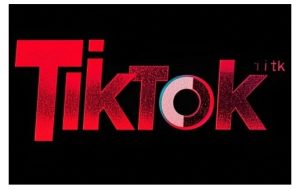 TikTok ads投流秘籍，涵盖tiktok整体投放思路，教你搭建测试计划-KJ分享