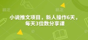 小说推文项目，新人操作6天，每天3位数分享课-KJ分享