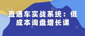 直通车实战系统：低成本询盘增长课，让个人通过技能实现升职加薪，让企业低成本获客，订单源源不断-KJ分享