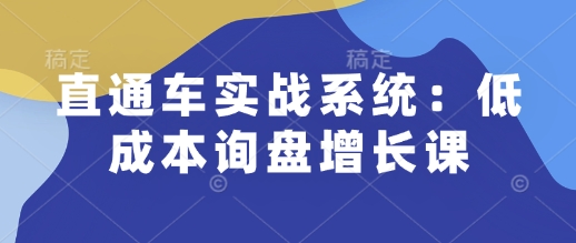 直通车实战系统：低成本询盘增长课，让个人通过技能实现升职加薪，让企业低成本获客，订单源源不断-KJ分享