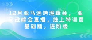 12月亚马逊跨境峰会, 亚马逊峰会直播,线上特训营基础版,进阶版-KJ分享