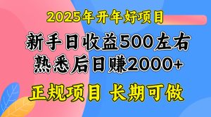 2025开年好项目，单号日收益2000左右-KJ分享