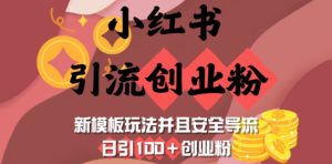 小红书引流创业粉，新模板玩法并且安全导流，日引100+创业粉-KJ分享
