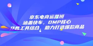 京东电商运营班：涵盖快车，DMP核心及各工具组合，助力打造爆款商品-KJ分享