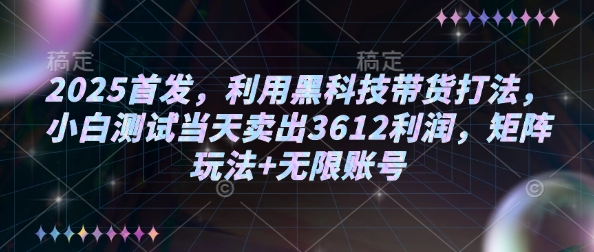 2025首发，利用黑科技带货打法，小白测试当天卖出3612利润，矩阵玩法+无限账号-KJ分享