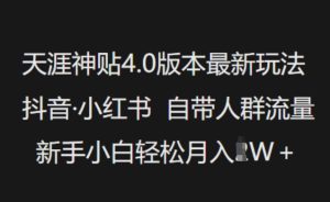 天涯神贴4.0版本最新玩法，抖音·小红书自带人群流量，新手小白轻松月入过W-KJ分享