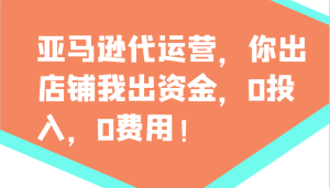 亚马逊代运营，你出店铺我出资金，0投入，0费用，无责任每天300分红，赢亏我承担-KJ分享