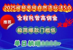 2025视频号纯自然流玩法5.0，全程托管高佣金，极简爆款门槛低，单日收益多张-KJ分享