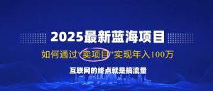 2025最新蓝海项目,零门槛轻松复制,月入10万+,新手也能操作!-KJ分享