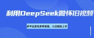 利用DeepSeek做怀旧视频,流量号多渠道变现能力强-KJ分享