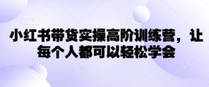 小红书带货实操高阶训练营，让每个人都可以轻松学会-KJ分享