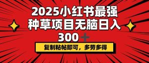 2025小红书最强种草项目，无脑日入300+，复制粘帖即可，多劳多得-KJ分享