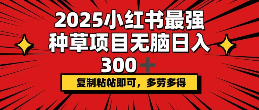 2025小红书最强种草项目，无脑日入300+，复制粘帖即可，多劳多得-KJ分享