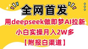 用deepseek做即梦Ai拉新 小白实操月入过W+【附报白渠道】-KJ分享