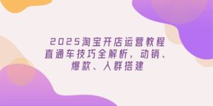 2025淘宝开店运营教程更新，直通车技巧全解析，动销、爆款、人群搭建-KJ分享