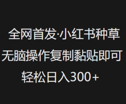 全网首发，小红书种草无脑操作，复制黏贴即可，轻松日入3张-KJ分享