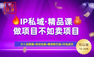 2025年“IP私域·密训精品课”,日赚3000+小白避坑年赚百万,暴力引流…-KJ分享