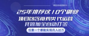 25年推荐这10个副业项目包含褂鸡类、代运营托管类、全自动打金类-KJ分享
