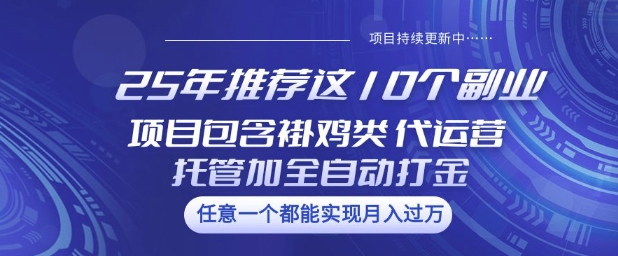 25年推荐这10个副业项目包含褂鸡类、代运营托管类、全自动打金类-KJ分享