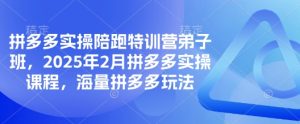 拼多多实操陪跑特训营弟子班，2025年2月拼多多实操课程，海量拼多多玩法-KJ分享