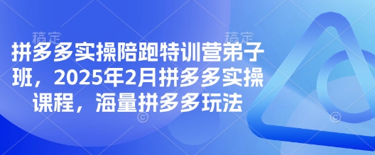 拼多多实操陪跑特训营弟子班，2025年2月拼多多实操课程，海量拼多多玩法-KJ分享