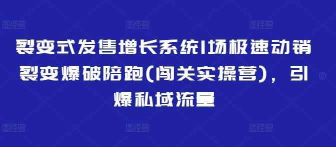 裂变式发售增长系统1场极速动销裂变爆破陪跑(闯关实操营)，引爆私域流量-KJ分享