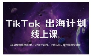 TikTok跨境电商新手起号与运营全攻略，0基础做跨境电商TIKTOK新手起号，小店入驻，操作指南全流程-KJ分享