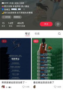 小红书治愈文案图文笔记，零门槛，一分钟制作轻松制作爆款作品月入万元-KJ分享