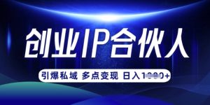 云帆·创业ip合伙人打造3.0,从0到1教你做网创,实现月入过W-KJ分享