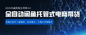 【闲鱼全自动电商带货】三年磨一剑，一朝露锋芒，长期稳定项目，单日稳定变现5张-KJ分享