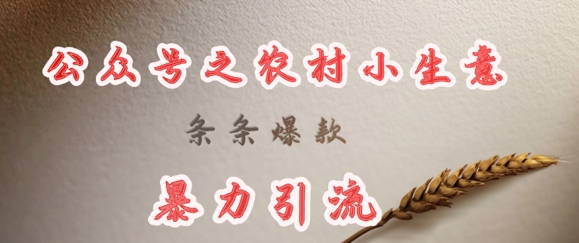 deepseek写农村小项目，条条爆款，暴力引流-KJ分享