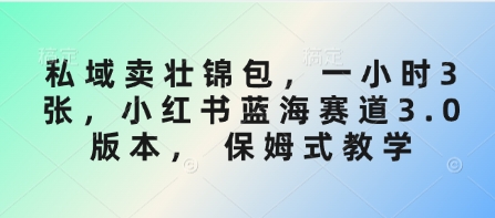 私域卖壮锦包,一小时3张,小红书蓝海赛道3.0版本, 保姆式教学-KJ分享