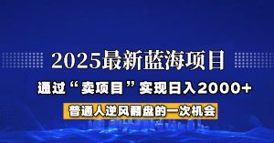 2025年蓝海项目,如何通过“网创项目”日入2000+-KJ分享