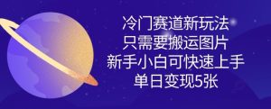 冷门赛道新玩法，只需要搬运图片，新手小白可快速上手，单日变现多张-KJ分享