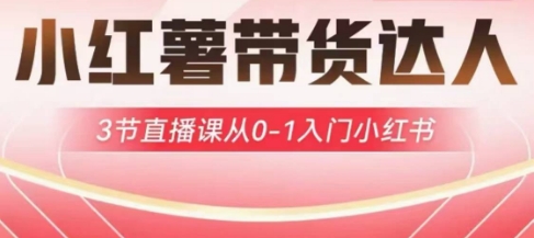 小红薯达人带货启航计划，3节直播课从0-1入门小红书-KJ分享