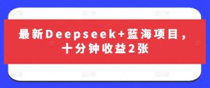 最新Deepseek+蓝海项目，十分钟收益2张-KJ分享