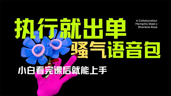 爆火全网的开车导航骚气语音包,只要执行就出单，小白看完课程就能实操…-KJ分享