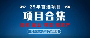 2025 实操项目合集 挂机类型 直播类型 轻资产创业类型 课程分享各项目…-KJ分享