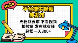 平台提供视频 你发布 无粉丝要求 不看视频播放量 发布就有钱 轻松一天300+-KJ分享