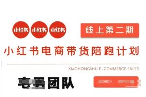 小红书电商带货课2期,月利润20个的小红书电商的有货源,无货源,虚拟产品,付费投流等整套玩法-KJ分享