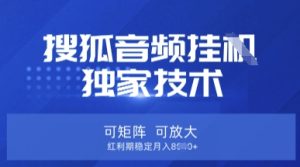 【搜狐音频挂G】独家技术，可矩阵可放大，红利期稳定月入8k-KJ分享
