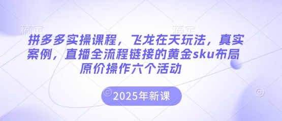 拼多多实操课程，飞龙在天玩法，真实案例，直播全流程链接的黄金sku布局原价操作六个活动-KJ分享