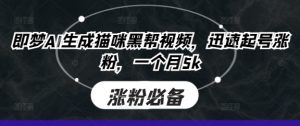 即梦AI生成猫咪黑帮视频，迅速起号涨粉，一个月5k-KJ分享