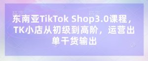 东南亚TikTok Shop3.0课程，TK小店​从初级到高阶，运营出单干货输出-KJ分享