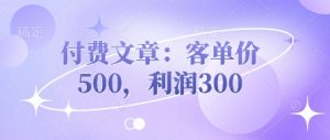 付费文章：客单价500，利润300-KJ分享