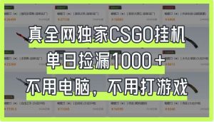 真全网独家CSGO挂机，单日捡漏1000+，不用电脑，不用养号-KJ分享