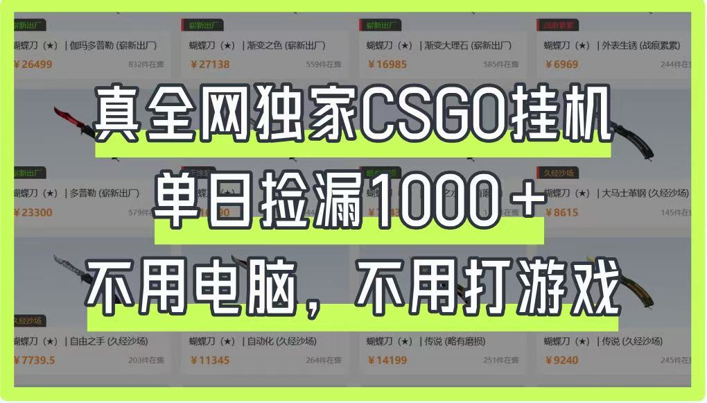 真全网独家CSGO挂机，单日捡漏1000+，不用电脑，不用养号-KJ分享