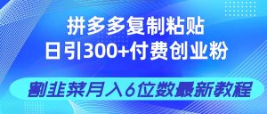 拼多多复制粘贴日引300+付费创业粉，割韭菜月入6位数最新教程！-KJ分享