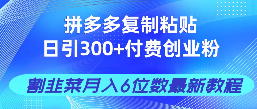 拼多多复制粘贴日引300+付费创业粉，割韭菜月入6位数最新教程！-KJ分享