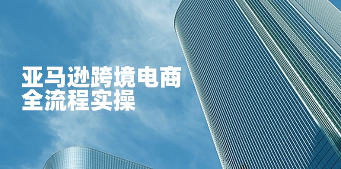 亚马逊跨境电商全流程实操，教你从零开始，掌握店铺运营与广告技巧-KJ分享